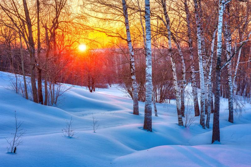 冬天雪景下的落日图片