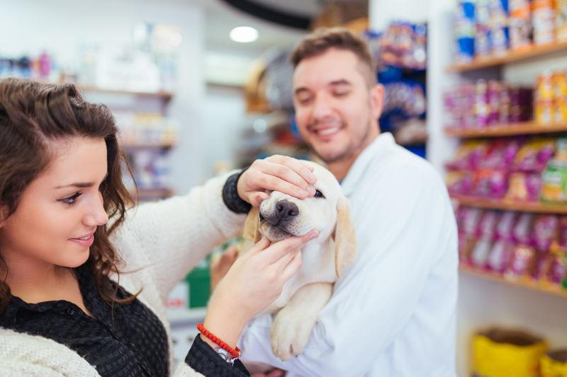 年轻的女人和她的拉布拉多猎犬小狗在兽医展示狗的牙齿