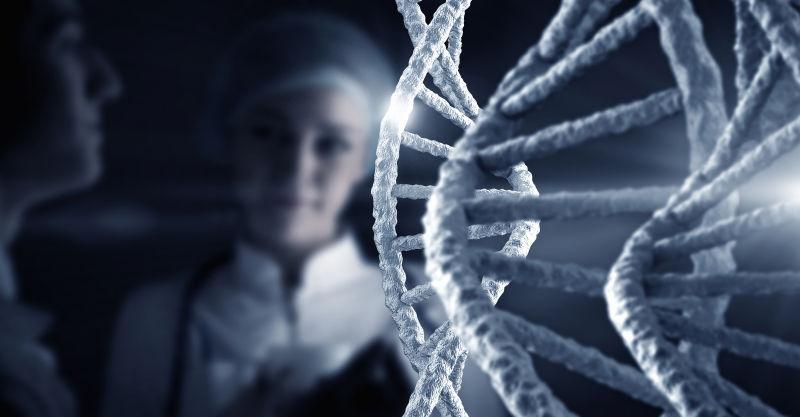生物科学家前的基因模型