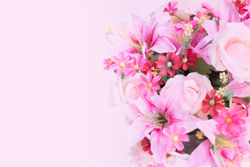 美丽的粉红花群