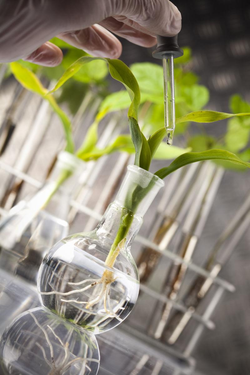 实验室用设备做实验的科学家