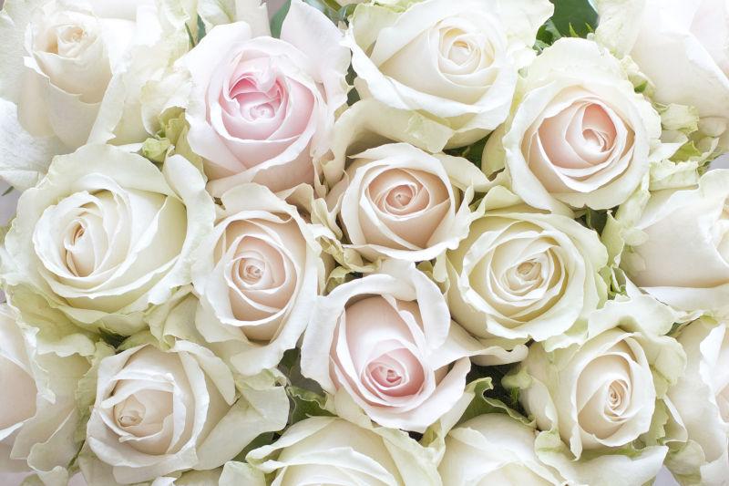 白粉色的玫瑰花束