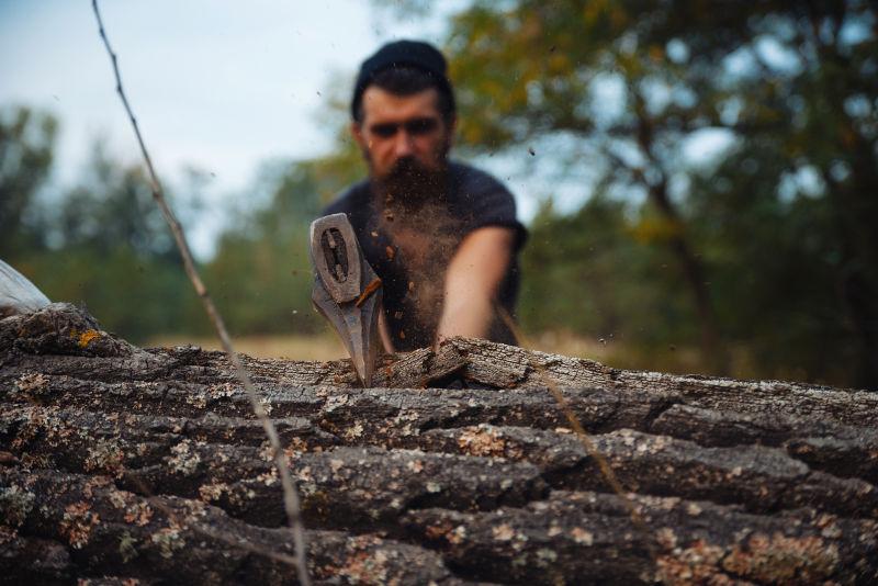 斧头砍树的照片
