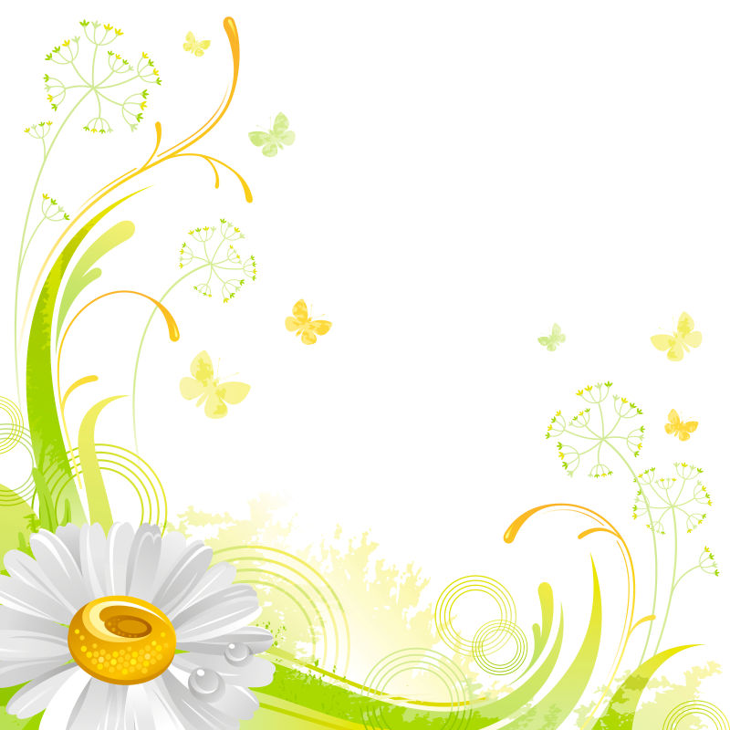 白色花朵图案背景图片 矢量夏季白色花朵图案背景素材 高清图片 摄影照片 寻图免费打包下载