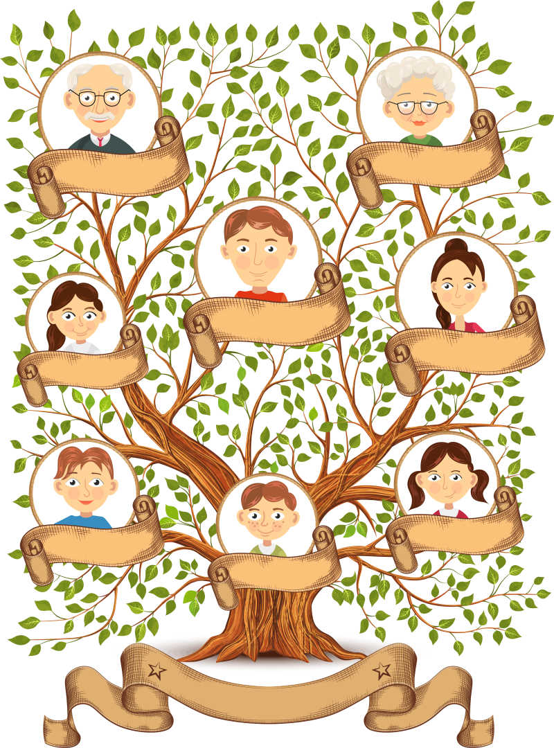 家族树图片 矢量家族成员插画设计素材 高清图片 摄影照片 寻图免费打包下载