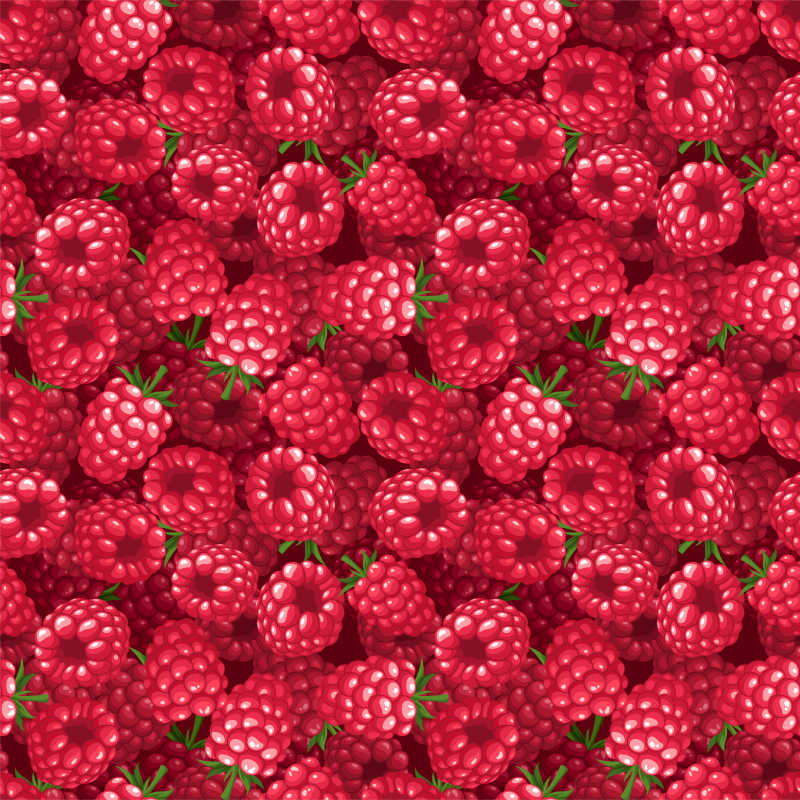 矢量的树莓插画背景